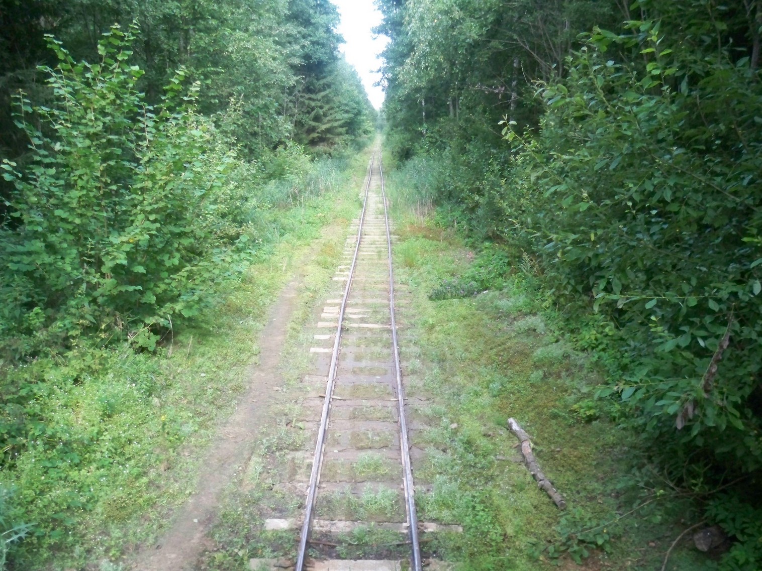 Узкоколейная железная дорога торфопредприятия имени Даумана
  —  фотографии, сделанные в 2013 году (часть 4)