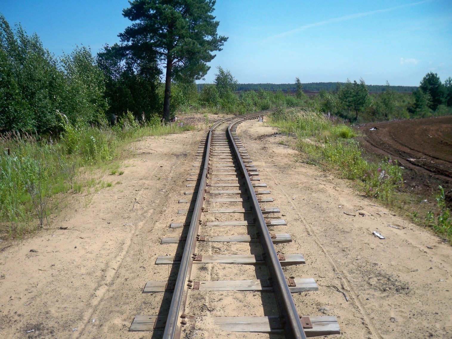 Узкоколейная железная дорога торфопредприятия имени Даумана
  —  фотографии, сделанные в 2013 году (часть 7)