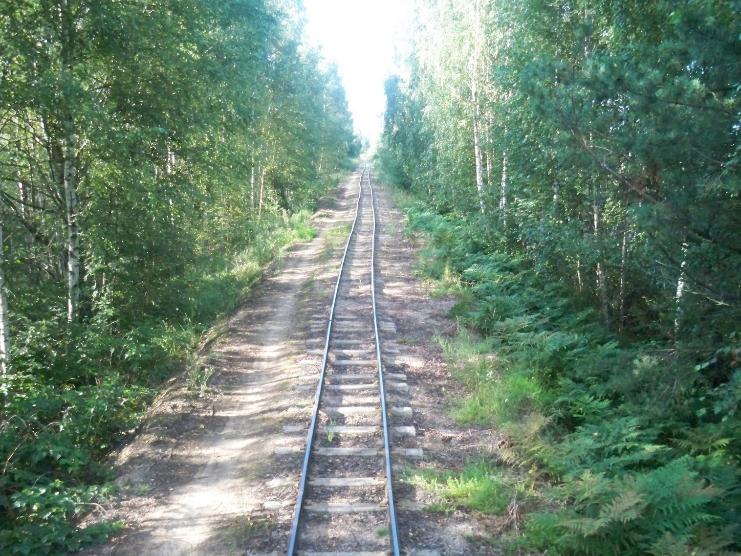 Узкоколейная железная дорога торфопредприятия имени Даумана
  —  фотографии, сделанные в 2013 году (часть 2)