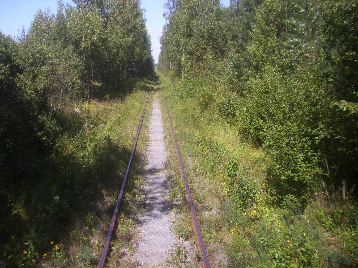 Железнодорожная линия Сухобезводное  —  Лапшанга
  —  фотографии, сделанные в 2012 году (часть 6)