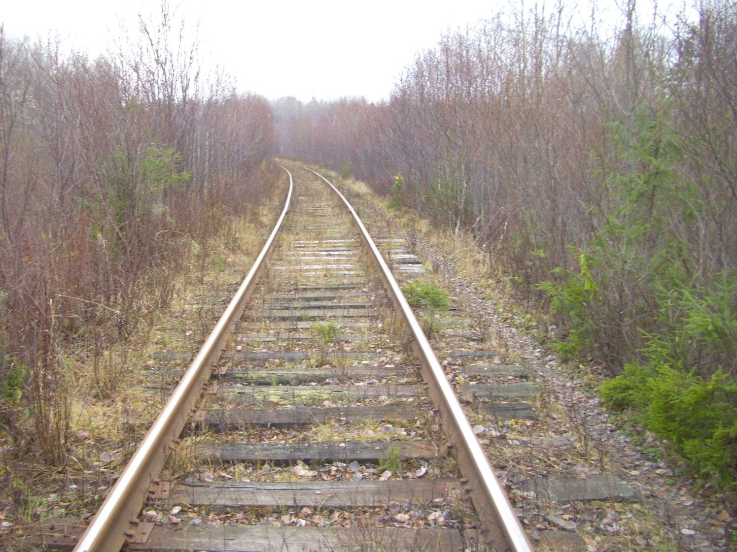 Гайно-Кайская железная дорога — фотографии, сделанные в 2009 году (часть 11)