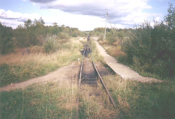 Кобринская узкоколейная железная дорога  —  фотографии, сделанные в 2004 году