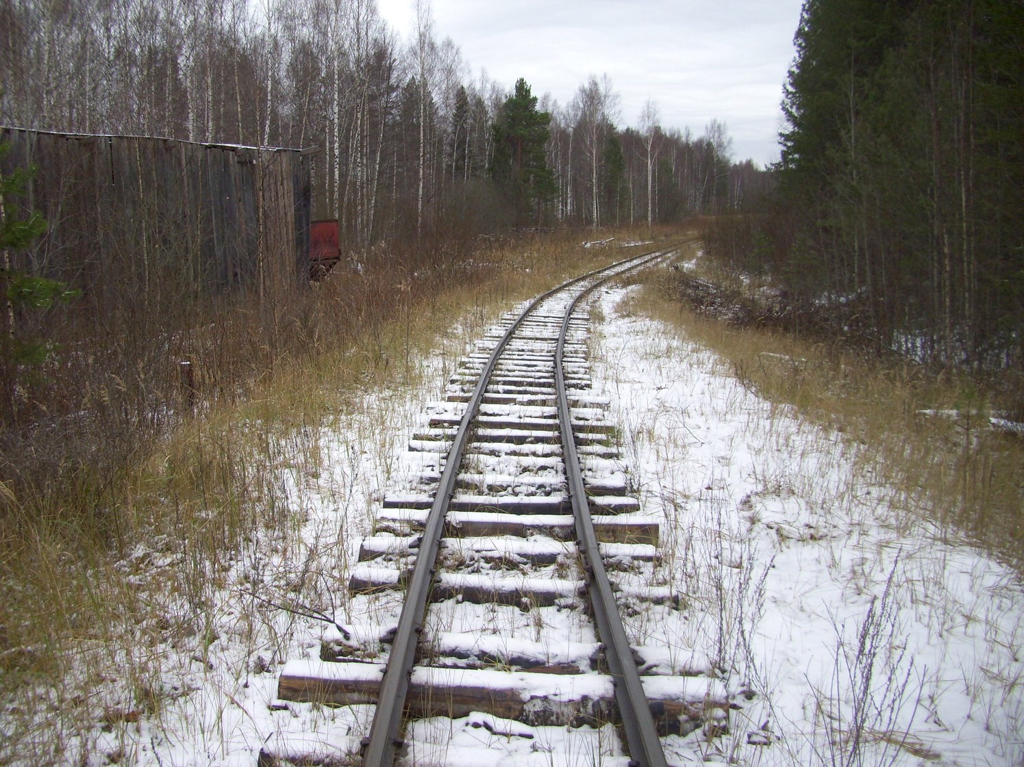 Узкоколейная железная дорога Орловского торфопредприятия   —  фотографии, сделанные в 2009 году (часть 8)