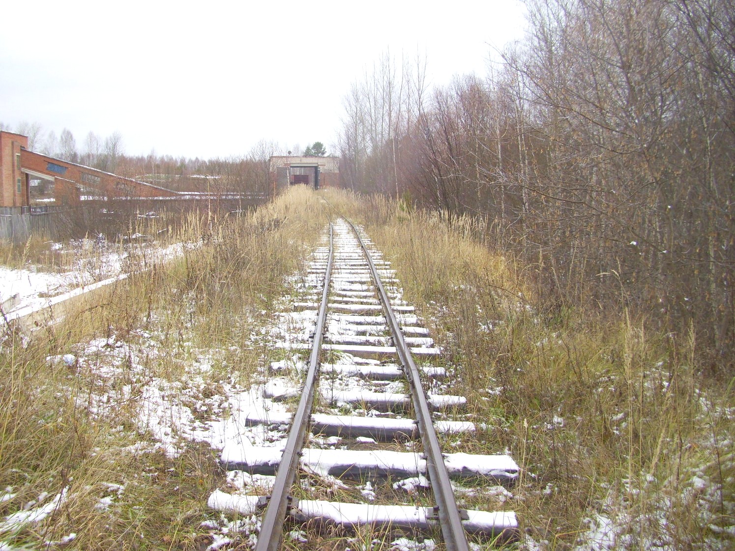 Узкоколейная железная дорога Орловского торфопредприятия   —  фотографии, сделанные в 2009 году (часть 3)