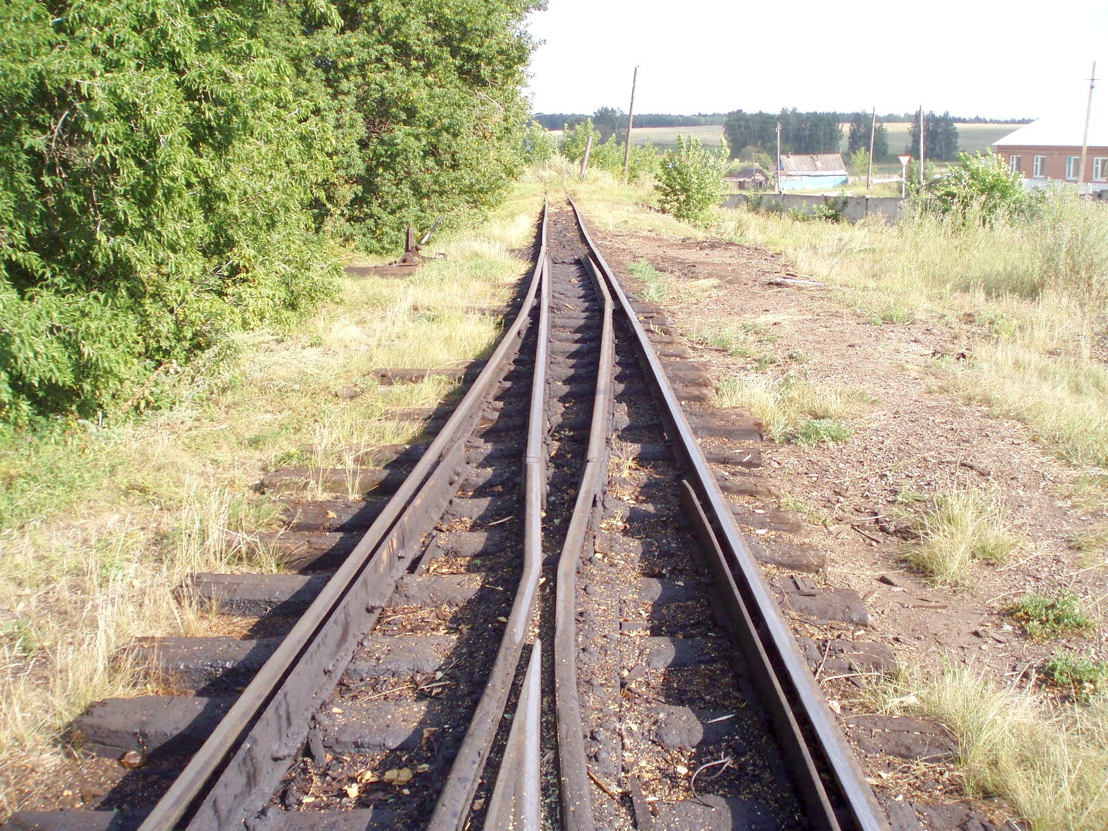 Узкоколейная железная дорога Пронинского шпалопропиточного завода  — фотографии, сделанные в 2007 году (часть 5)