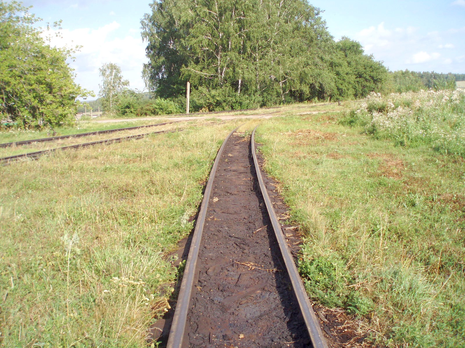 Узкоколейная железная дорога Пронинского шпалопропиточного завода  — фотографии, сделанные в 2007 году (часть 6)
