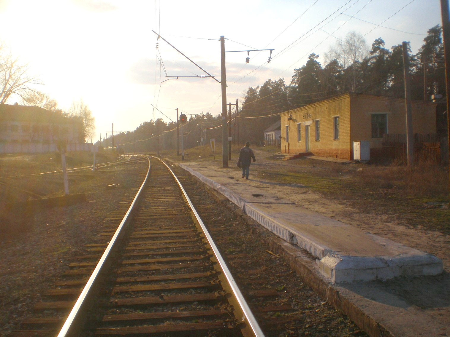 графская воронеж фото