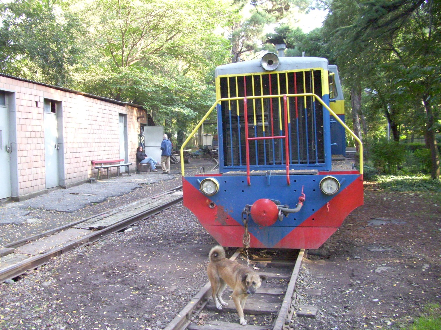 Тбилисская детская железная дорога  —  фотографии, сделанные в 2010 году (часть 3)