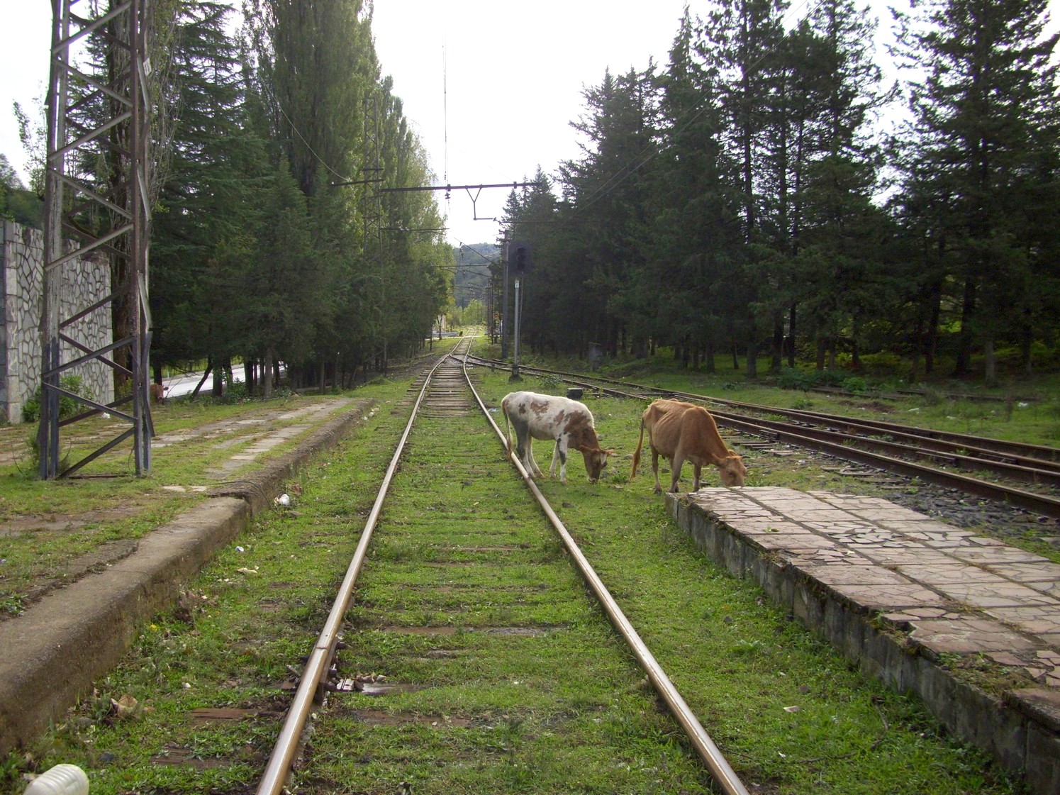 Железнодорожная линия  Риони — Кутаиси I — Ткибули  —  фотографии, сделанные в 2010 году (часть 1)