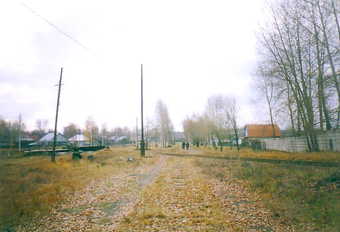 Узкоколейная железная дорога Выксунского металлургического завода