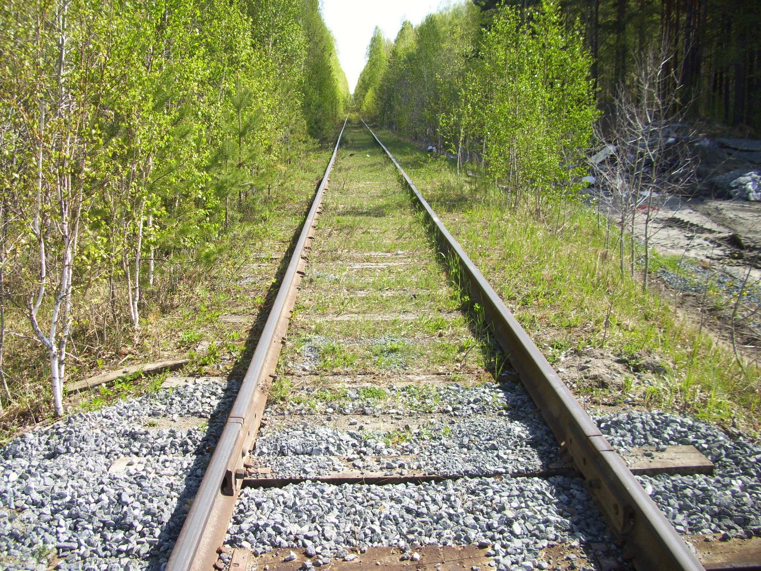 Таповская железная дорога   —  фотографии, сделанные в 2011 году (часть 7)