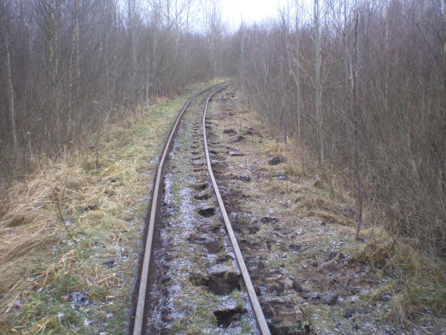 Узкоколейная  железная дорога  Слуцкого торфопредприятия   —  фотографии, сделанные в 2008 году (часть 6)