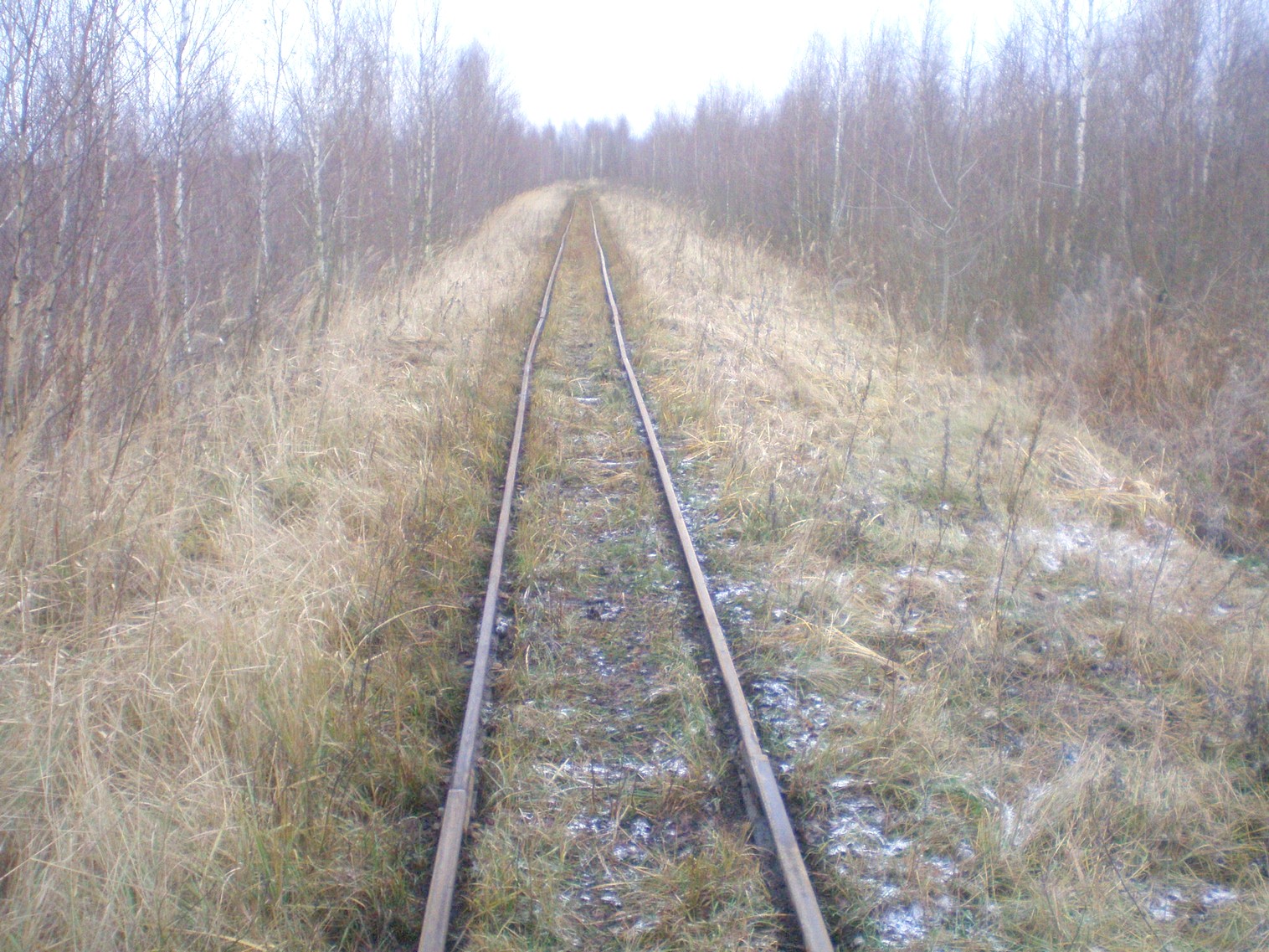Узкоколейная  железная дорога  Слуцкого торфопредприятия   —  фотографии, сделанные в 2008 году (часть 8)