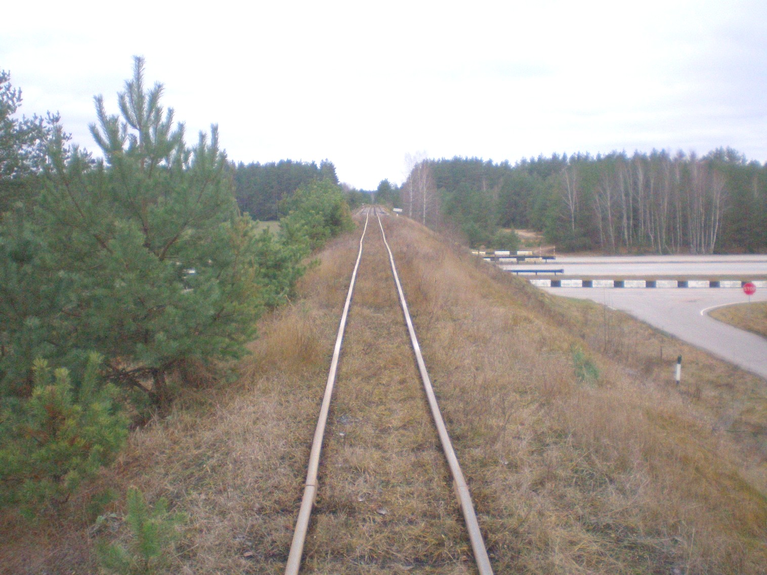 Узкоколейная  железная дорога  Слуцкого торфопредприятия   —  фотографии, сделанные в 2008 году (часть 10)