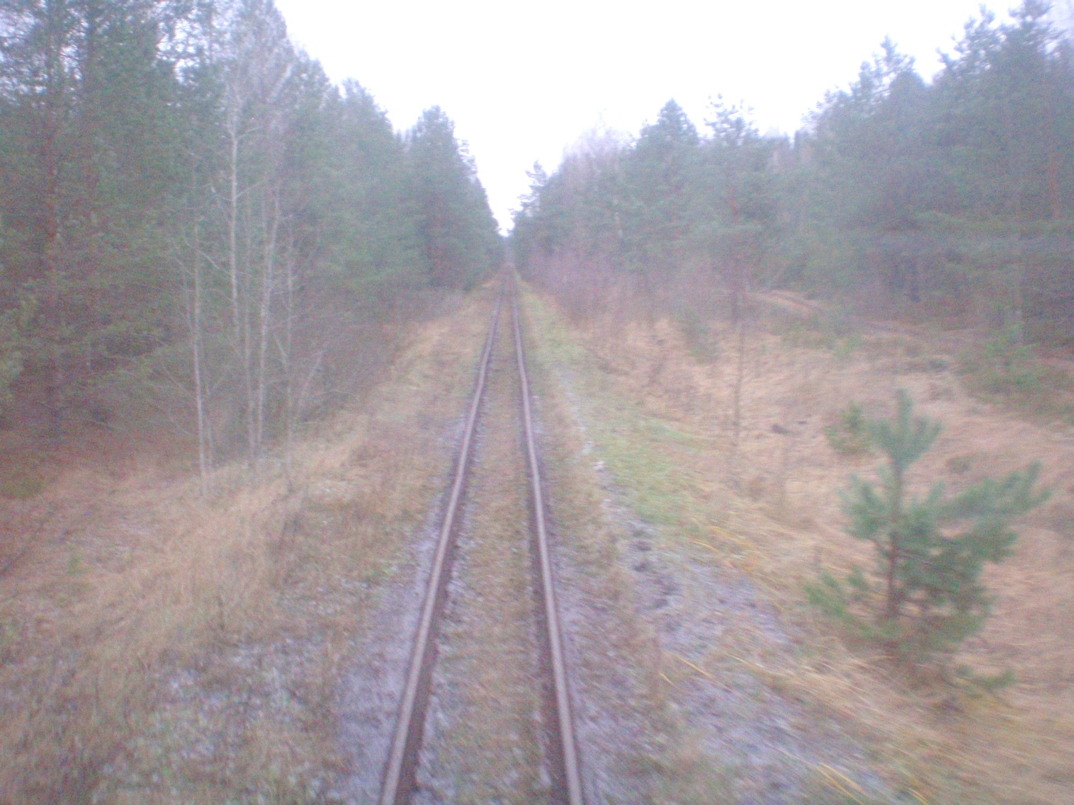 Узкоколейная  железная дорога  Слуцкого торфопредприятия   —  фотографии, сделанные в 2008 году (часть 4)