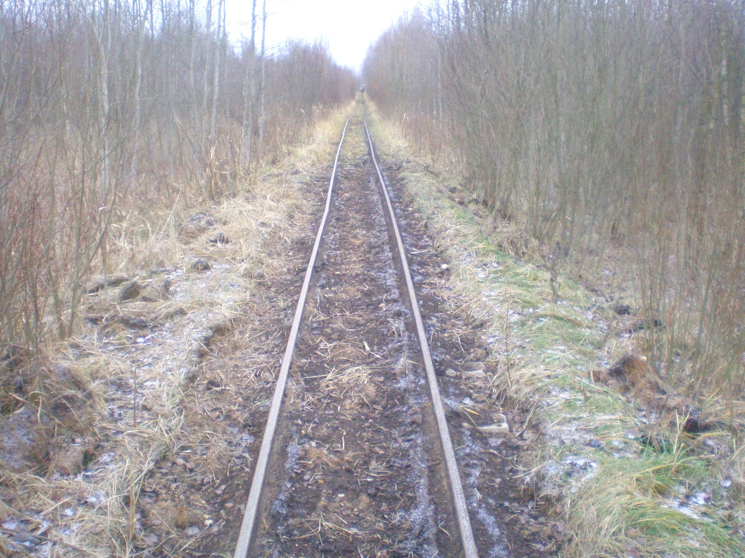 Узкоколейная  железная дорога  Слуцкого торфопредприятия   —  фотографии, сделанные в 2008 году (часть 5)