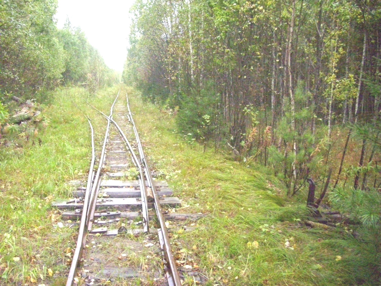 Комсомольская узкоколейная железная дорога
  —  фотографии, сделанные в 2010 году (часть 4)