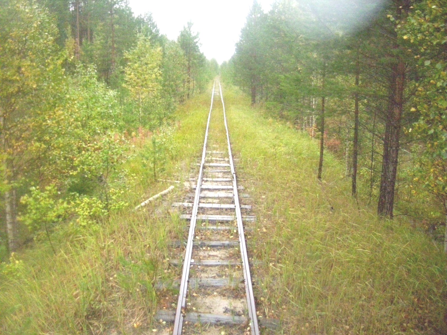 Комсомольская узкоколейная железная дорога
  —  фотографии, сделанные в 2010 году (часть 7)