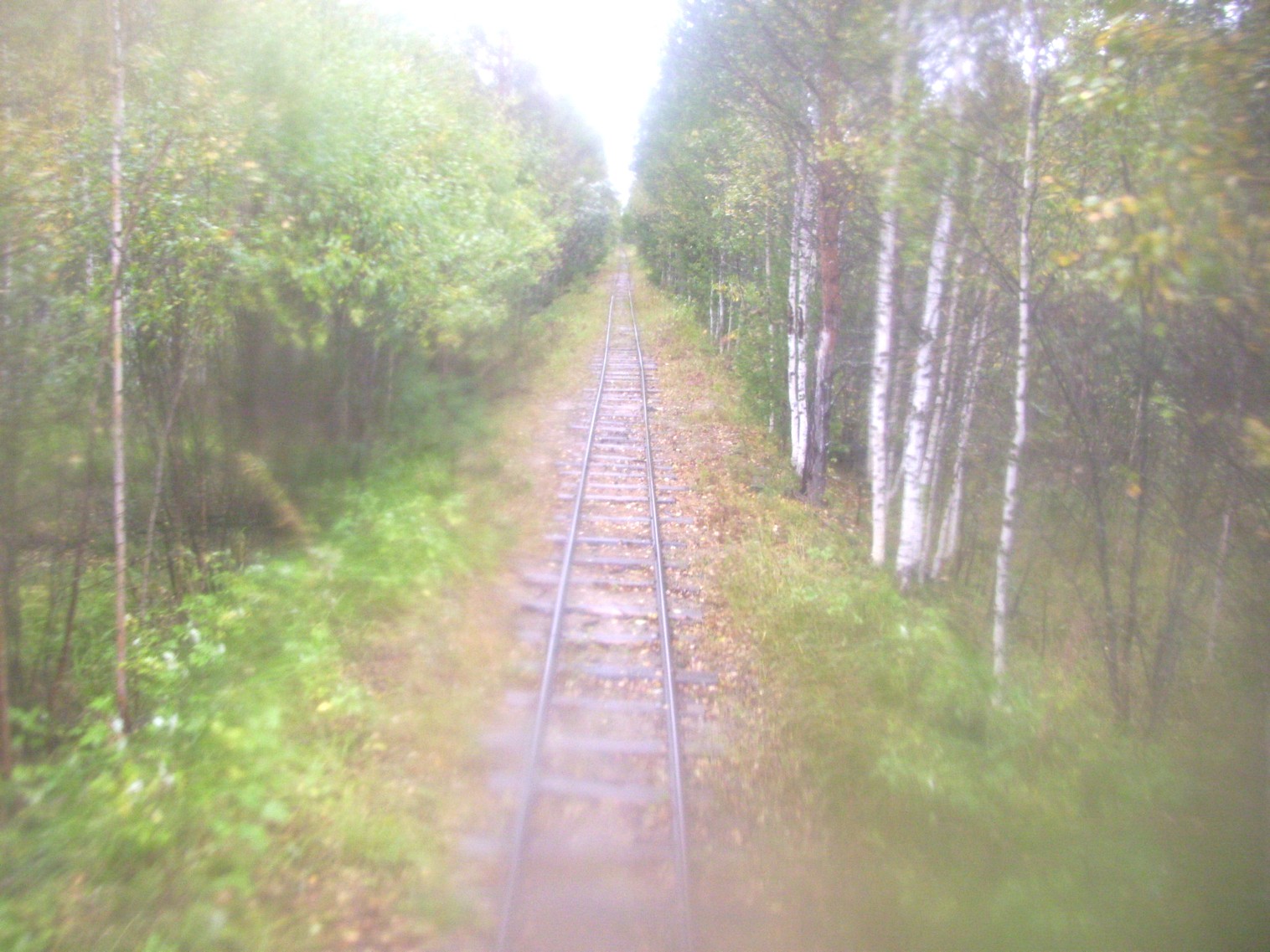Комсомольская узкоколейная железная дорога
  —  фотографии, сделанные в 2010 году (часть 9)