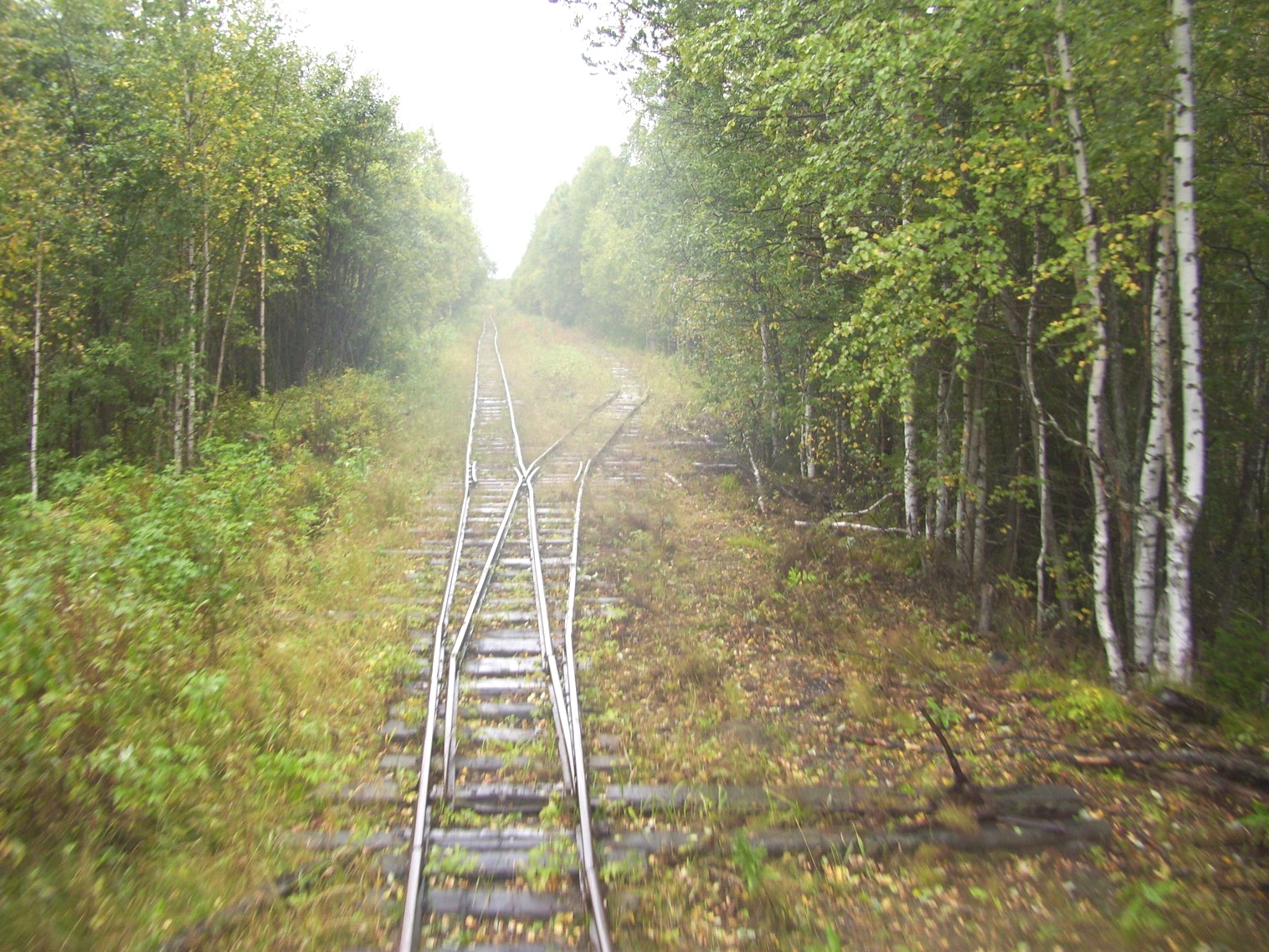 Комсомольская узкоколейная железная дорога
  —  фотографии, сделанные в 2010 году (часть 10)