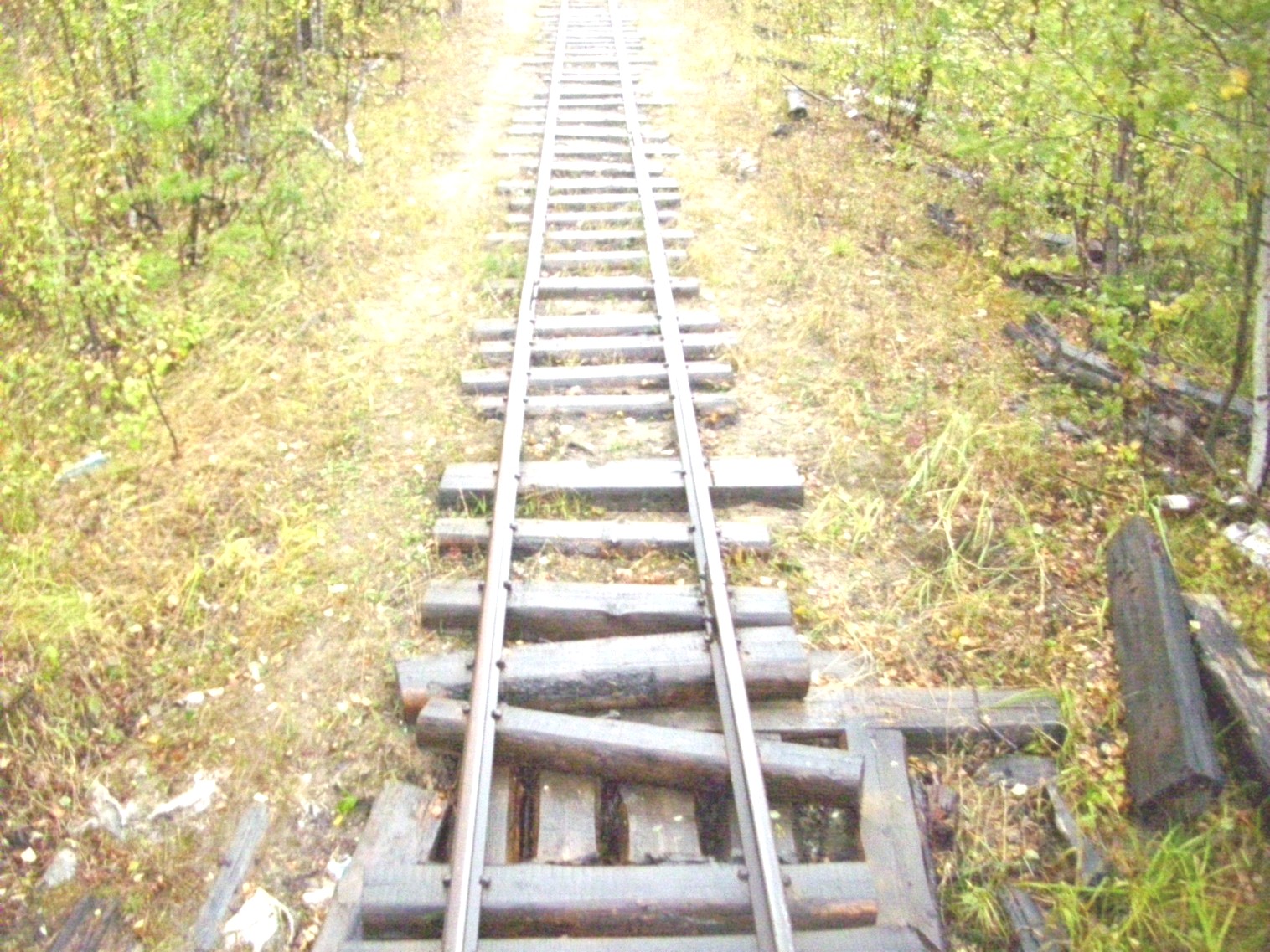 Комсомольская узкоколейная железная дорога
  —  фотографии, сделанные в 2010 году (часть 11)