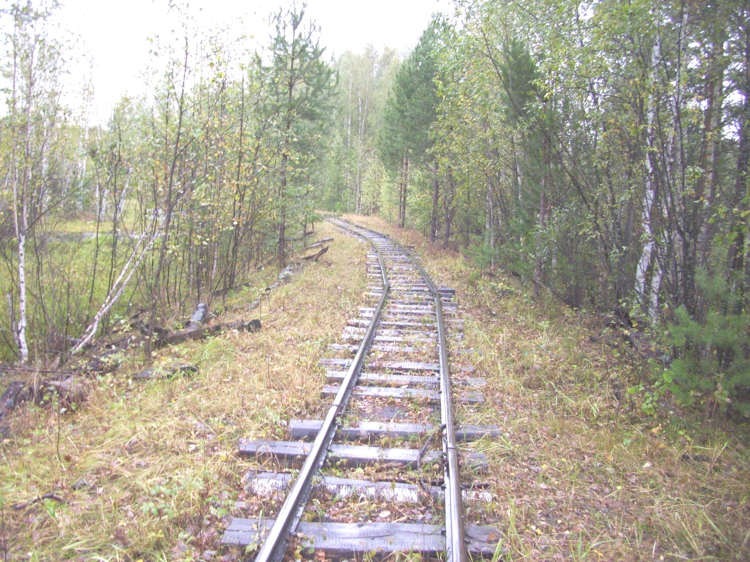 Комсомольская узкоколейная железная дорога
  —  фотографии, сделанные в 2010 году (часть 12)