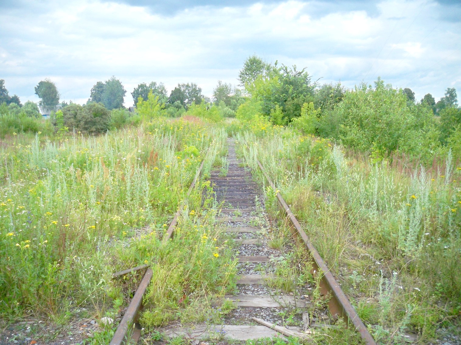 Железнодорожная линия Дятьково  —  Бытошь — фотографии, сделанные в 2013 году (часть 1)