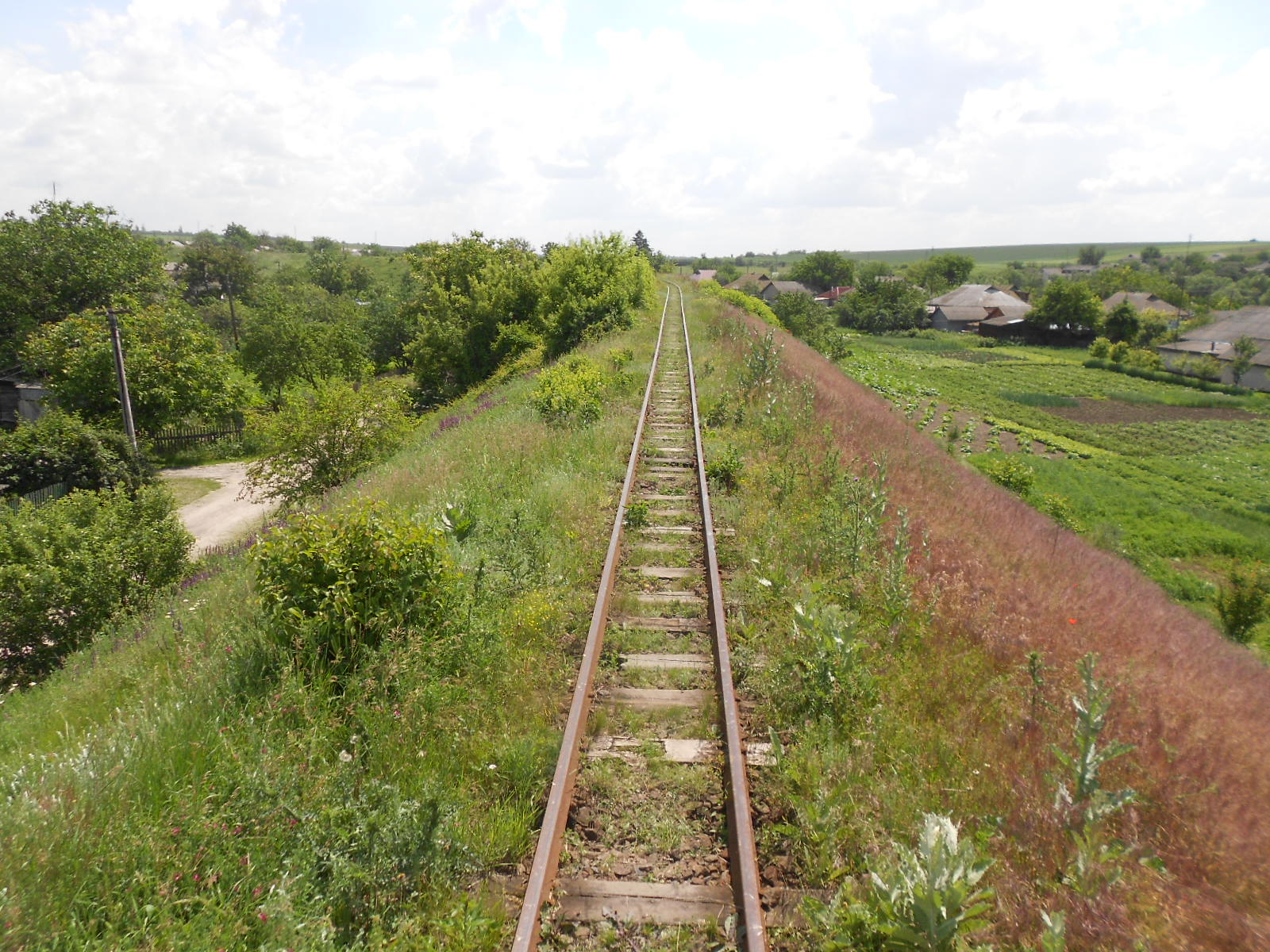 Узкоколейная железная дорога Гайворонского отделения Одесской железной дороги — фотографии, сделанные в 2016 году (часть 5)