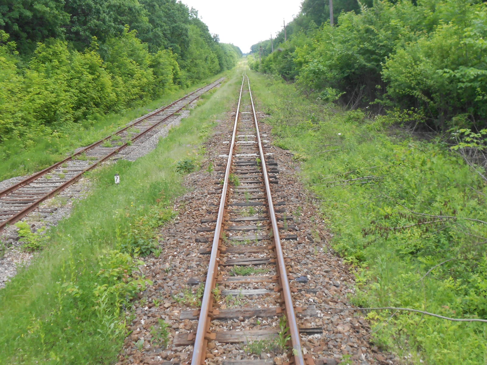 Узкоколейная железная дорога Гайворонского отделения Одесской железной дороги — фотографии, сделанные в 2016 году (часть 8)