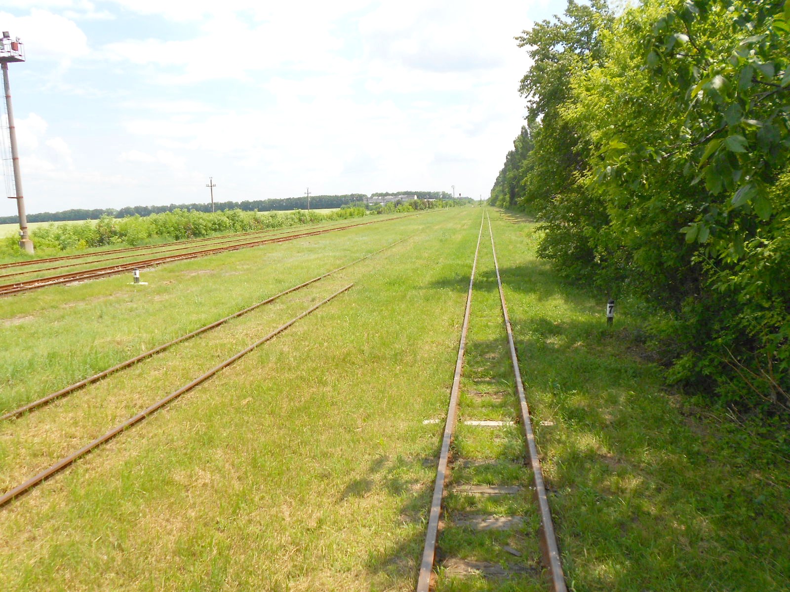 Узкоколейная железная дорога Гайворонского отделения Одесской железной дороги — фотографии, сделанные в 2016 году (часть 9)
