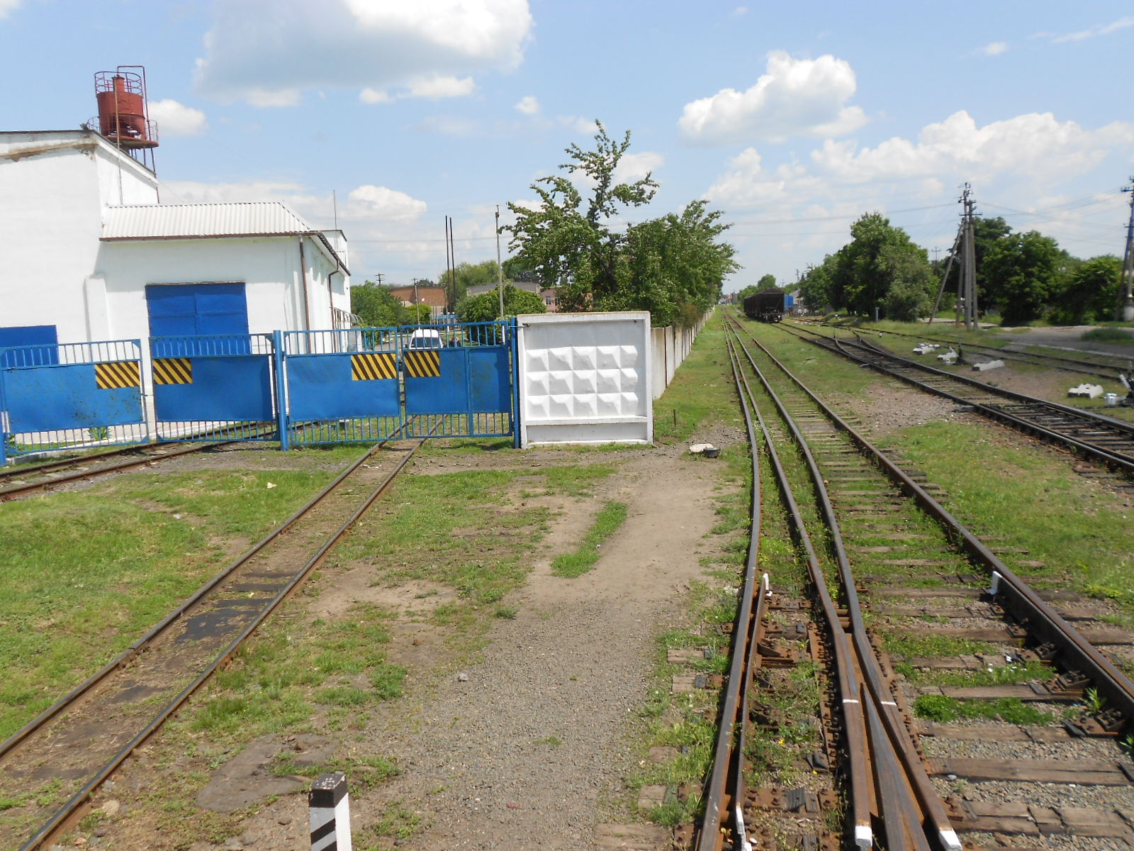 Узкоколейная железная дорога Гайворонского отделения Одесской железной дороги — фотографии, сделанные в 2016 году (часть 11)