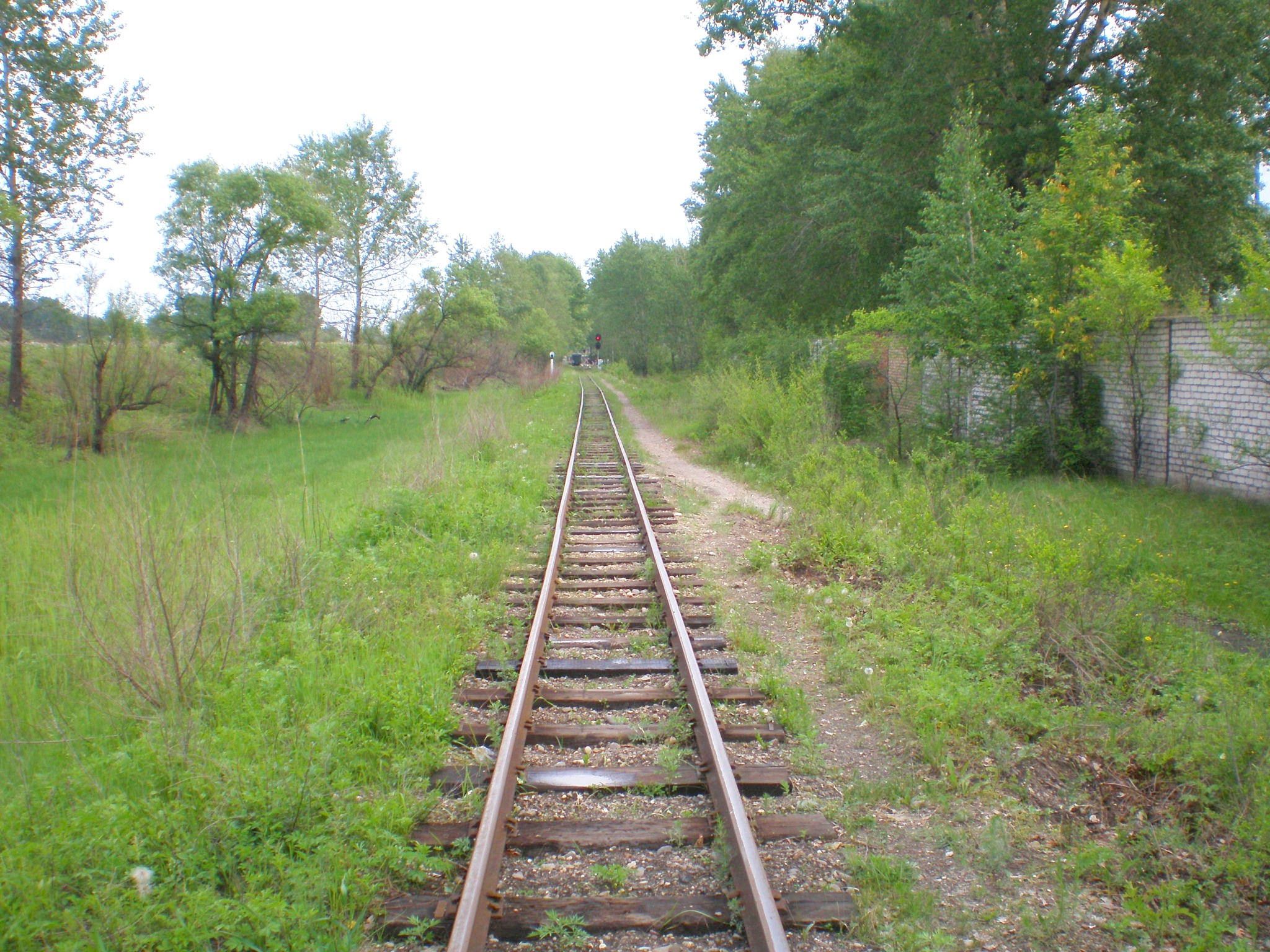 Свободненская детская железная дорога  —  фотографии, сделанные в 2008 году (часть 6)