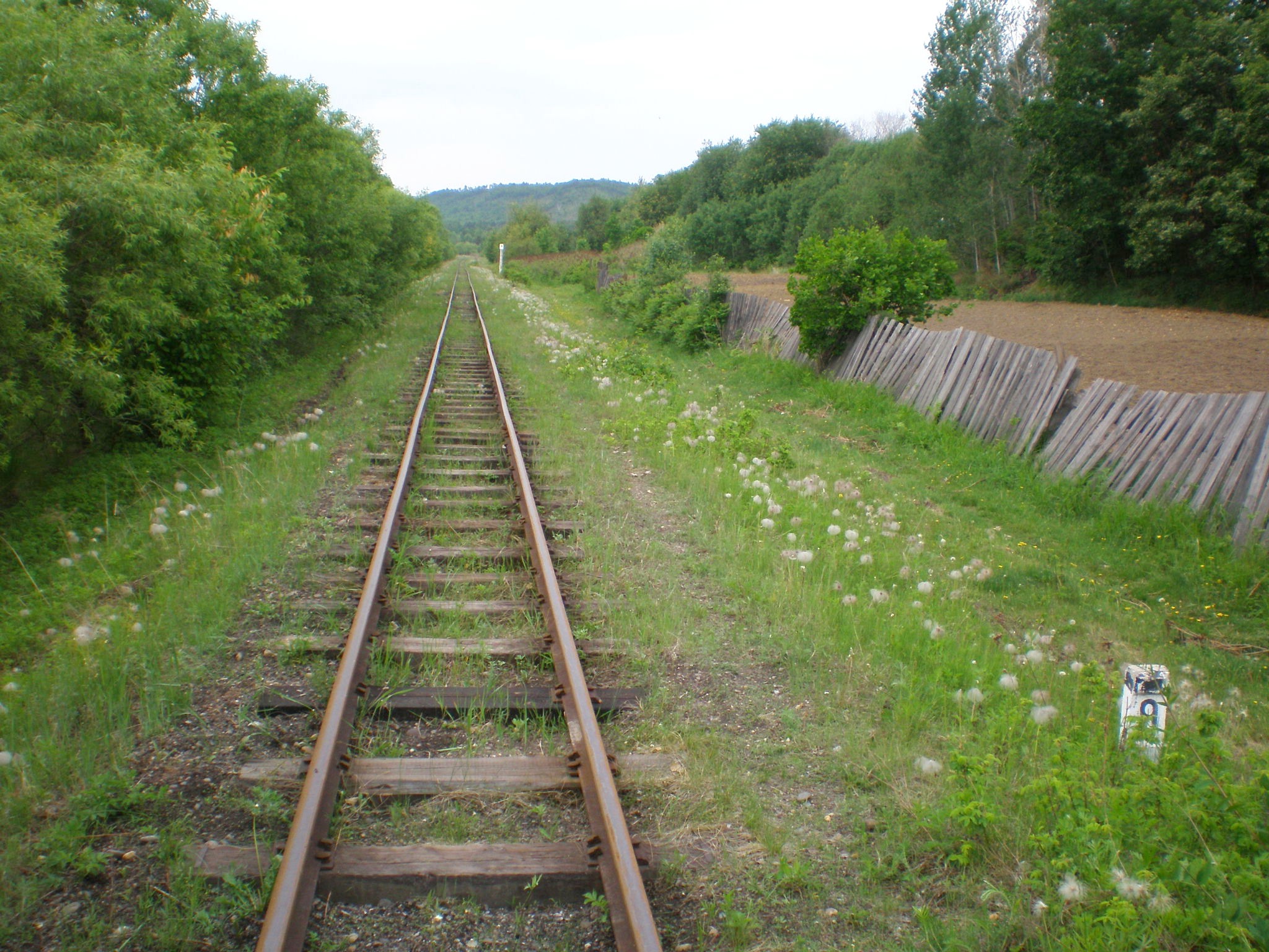 Свободненская детская железная дорога  —  фотографии, сделанные в 2008 году (часть 11)