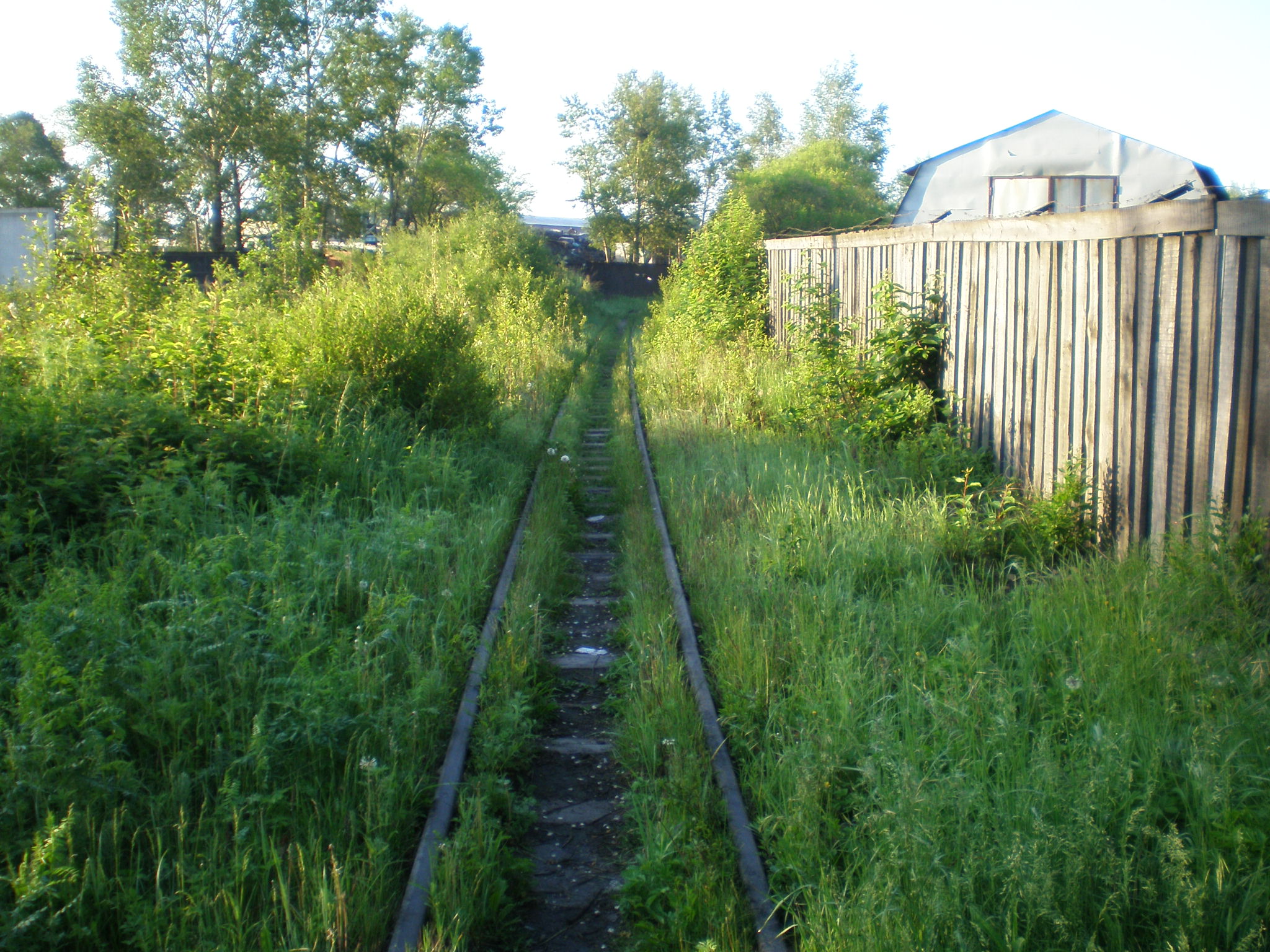 Свободненская детская железная дорога  —  фотографии, сделанные в 2008 году (часть 2)