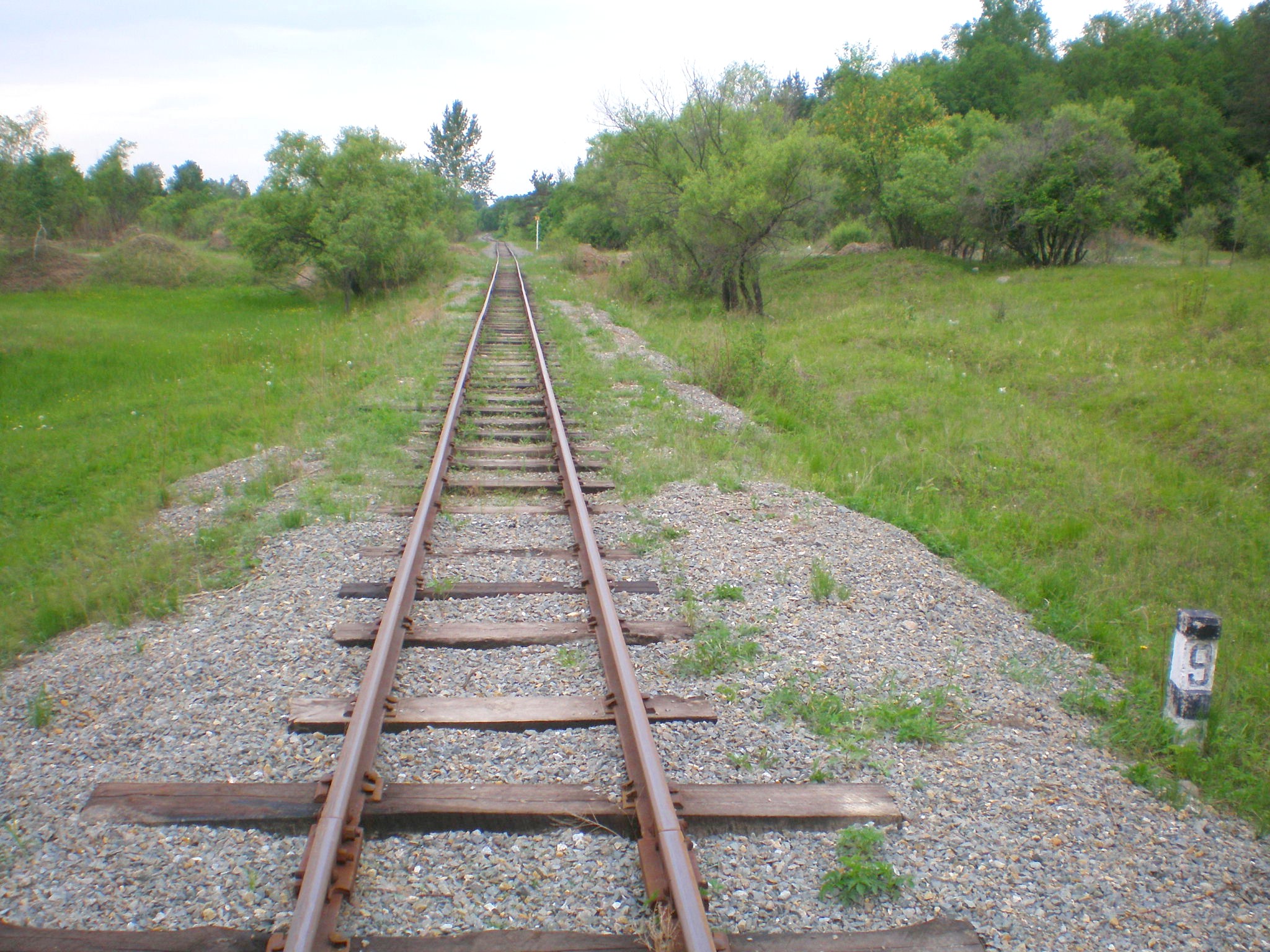Свободненская детская железная дорога  —  фотографии, сделанные в 2008 году (часть 12)