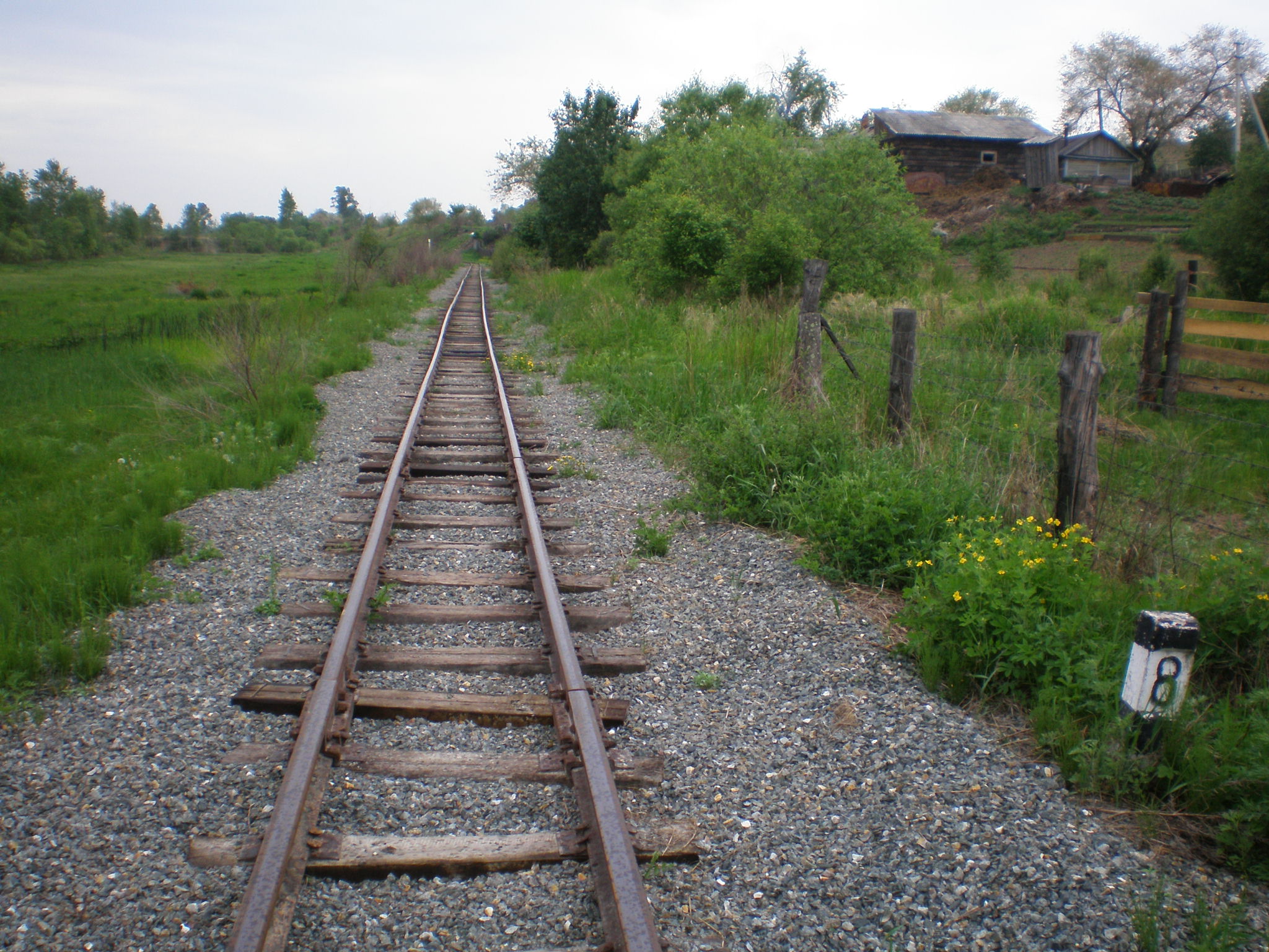 Свободненская детская железная дорога  —  фотографии, сделанные в 2008 году (часть 13)