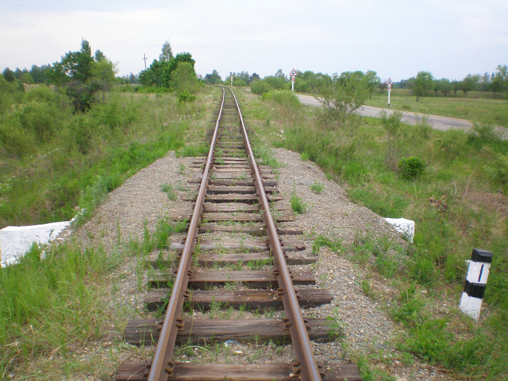 Свободненская детская железная дорога  —  фотографии, сделанные в 2008 году (часть 15)