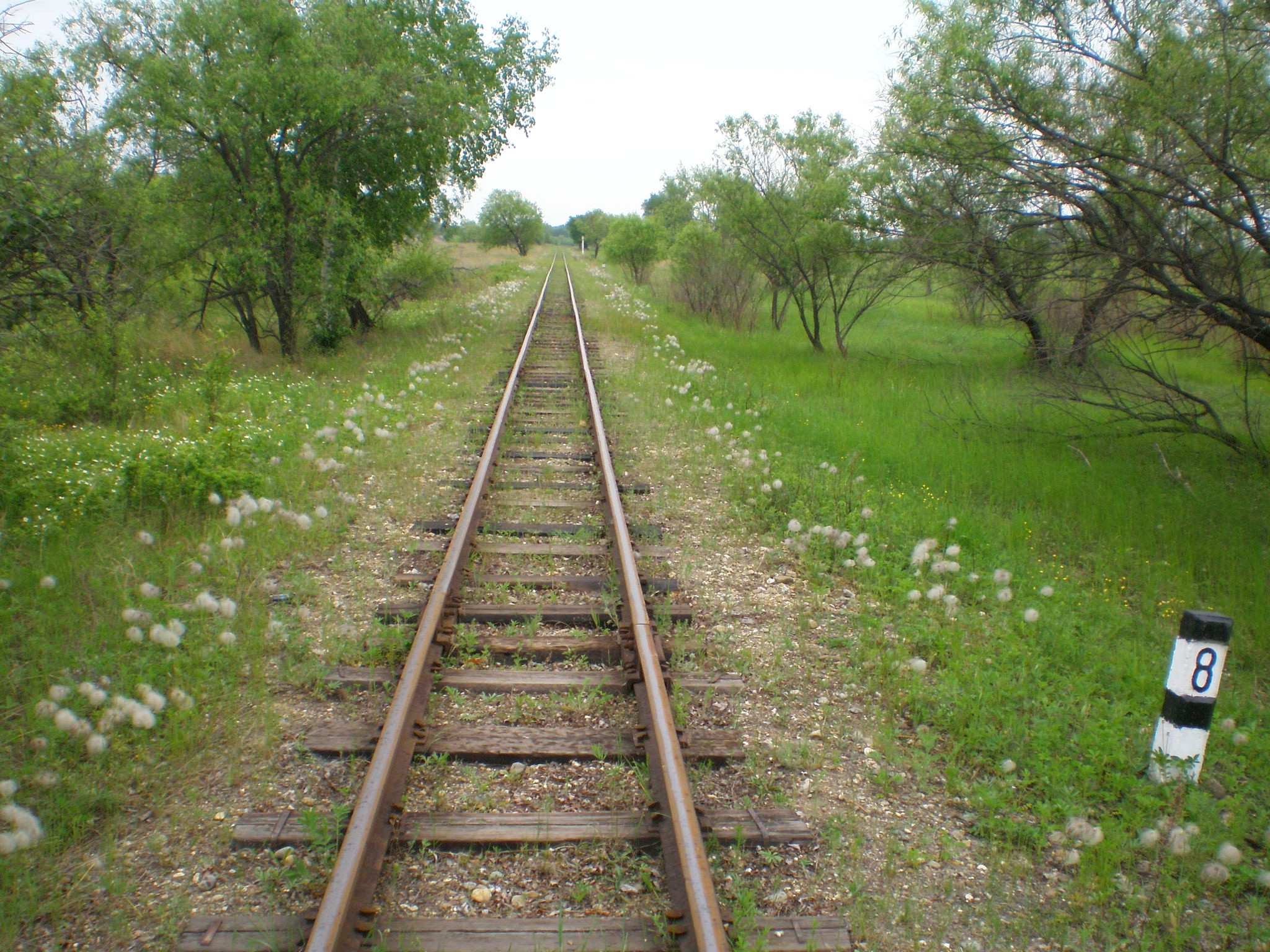 Свободненская детская железная дорога  —  фотографии, сделанные в 2008 году (часть 16)