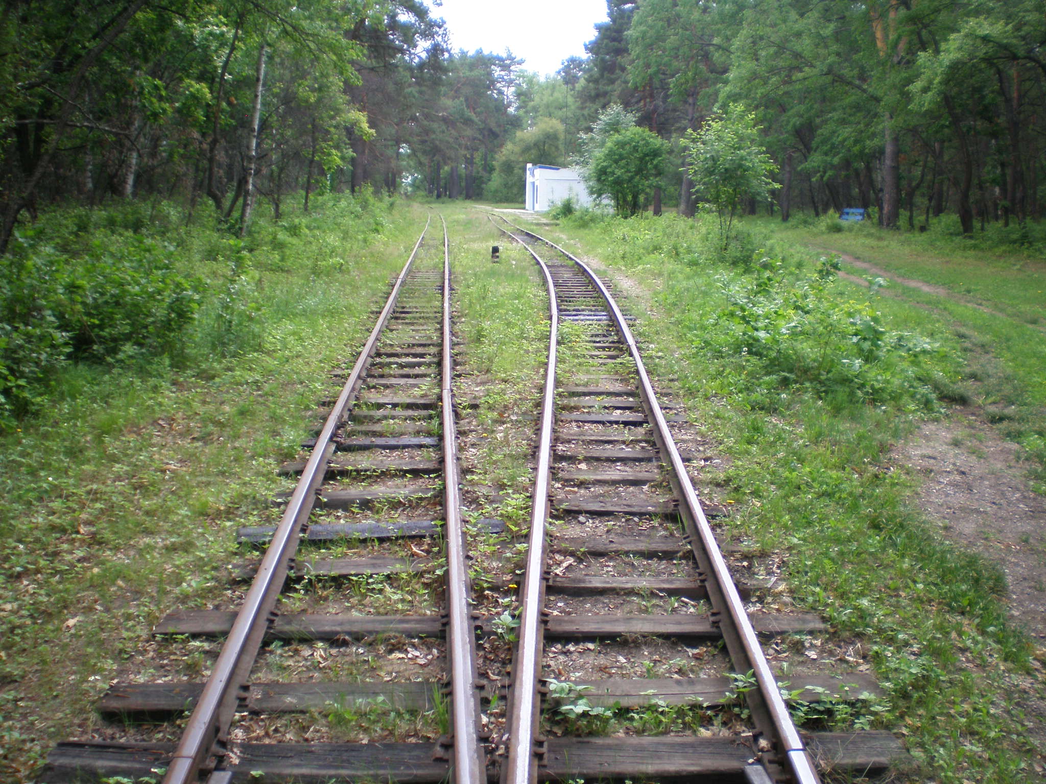 Свободненская детская железная дорога  —  фотографии, сделанные в 2008 году (часть 19)