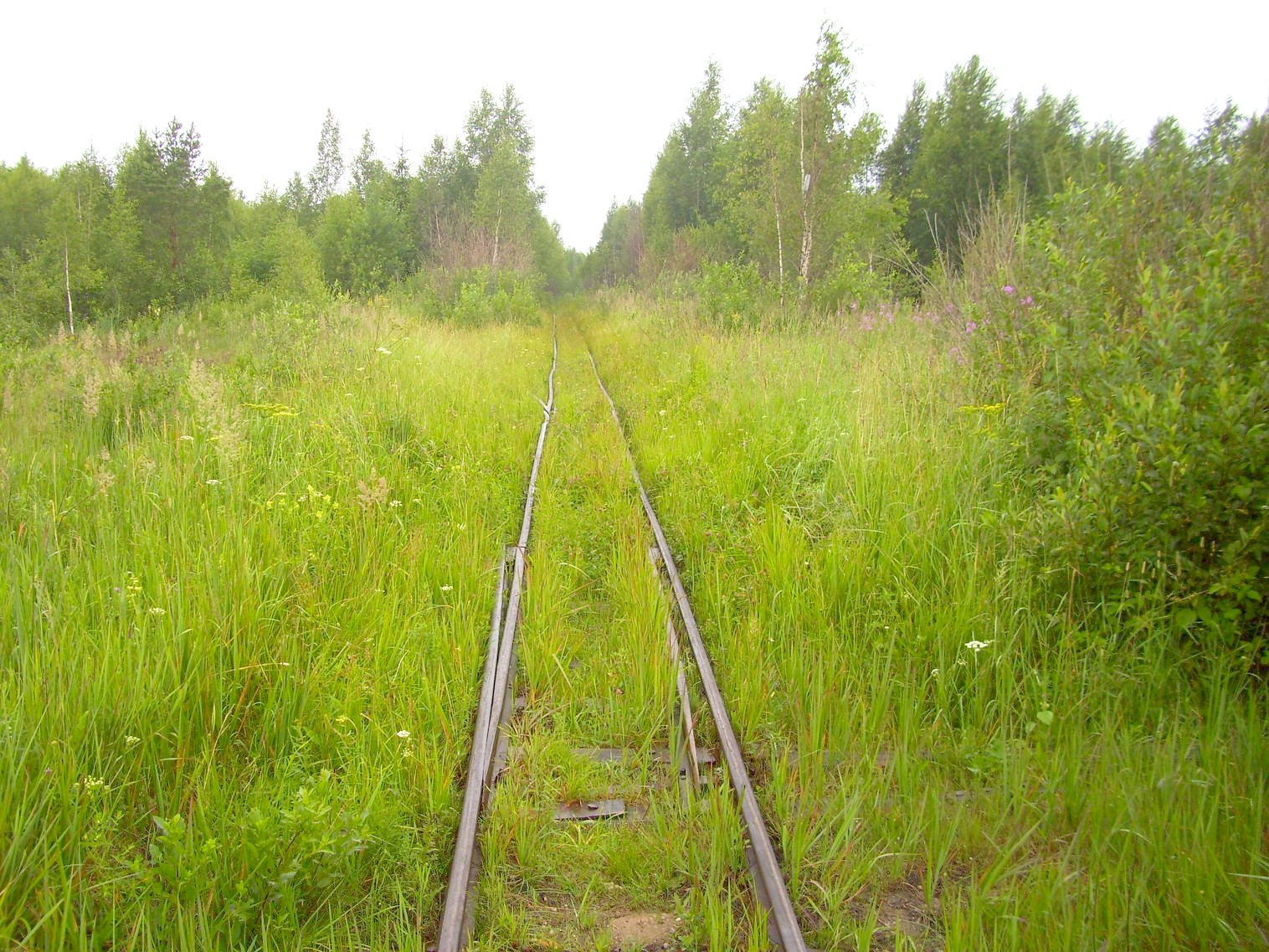 Узкоколейная железная дорога Заплюсского торфопредприятия — фотографии, сделанные в 2010 году (часть 6)