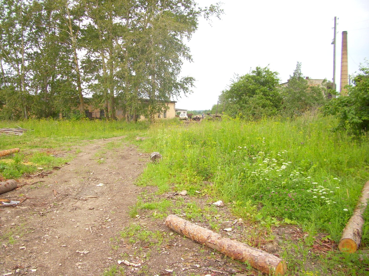 Узкоколейная железная дорога Заплюсского торфопредприятия — фотографии, сделанные в 2010 году (часть 11)