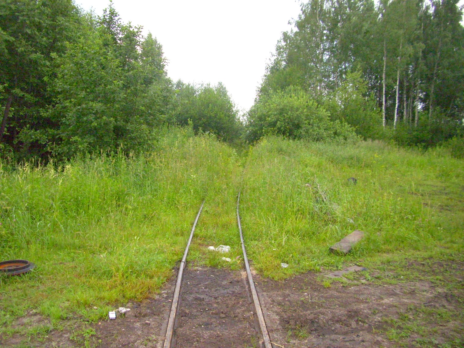 Узкоколейная железная дорога Заплюсского торфопредприятия — фотографии, сделанные в 2010 году (часть 2)