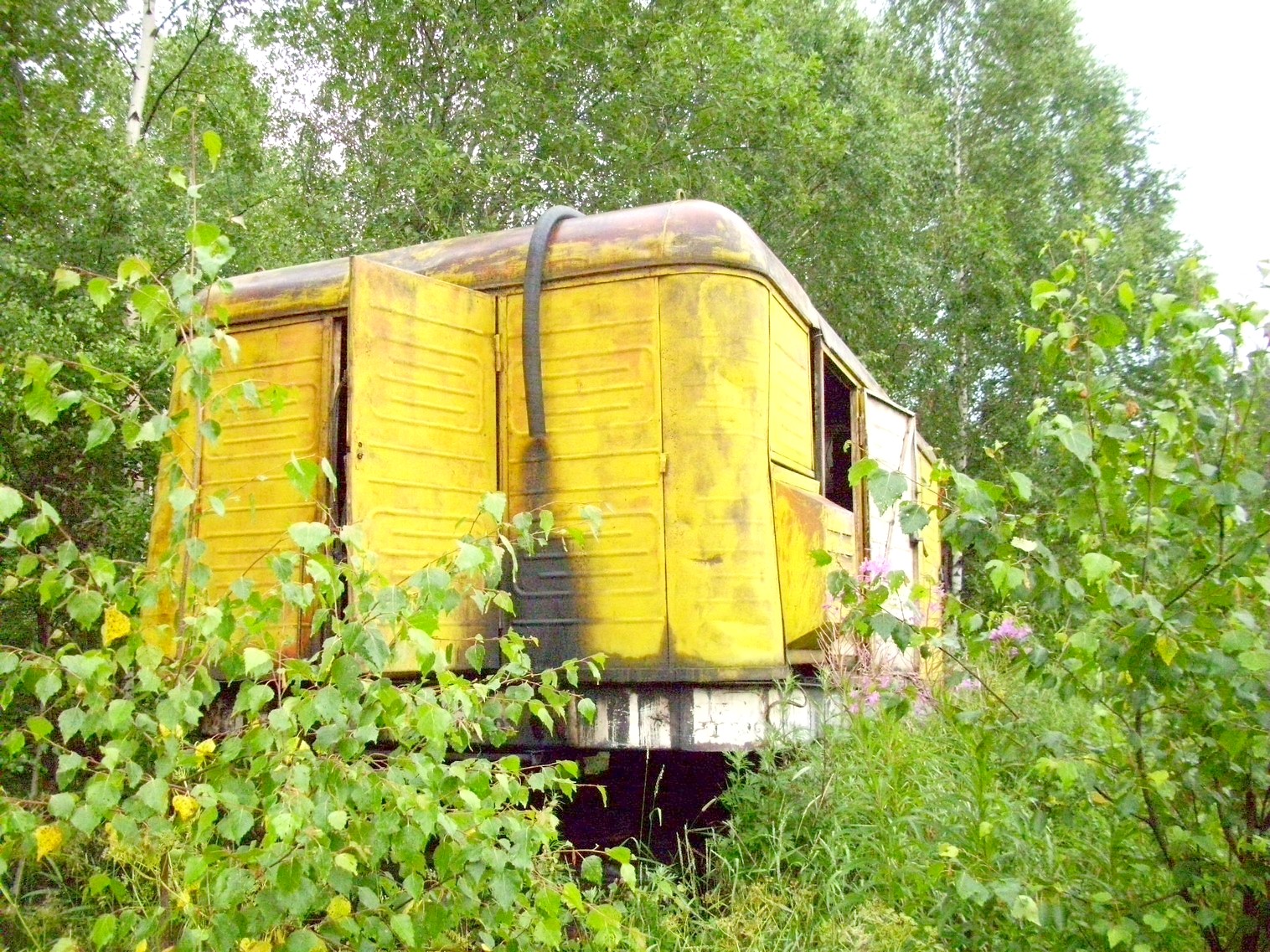 Узкоколейная железная дорога Заплюсского торфопредприятия — фотографии, сделанные в 2010 году (часть 3)