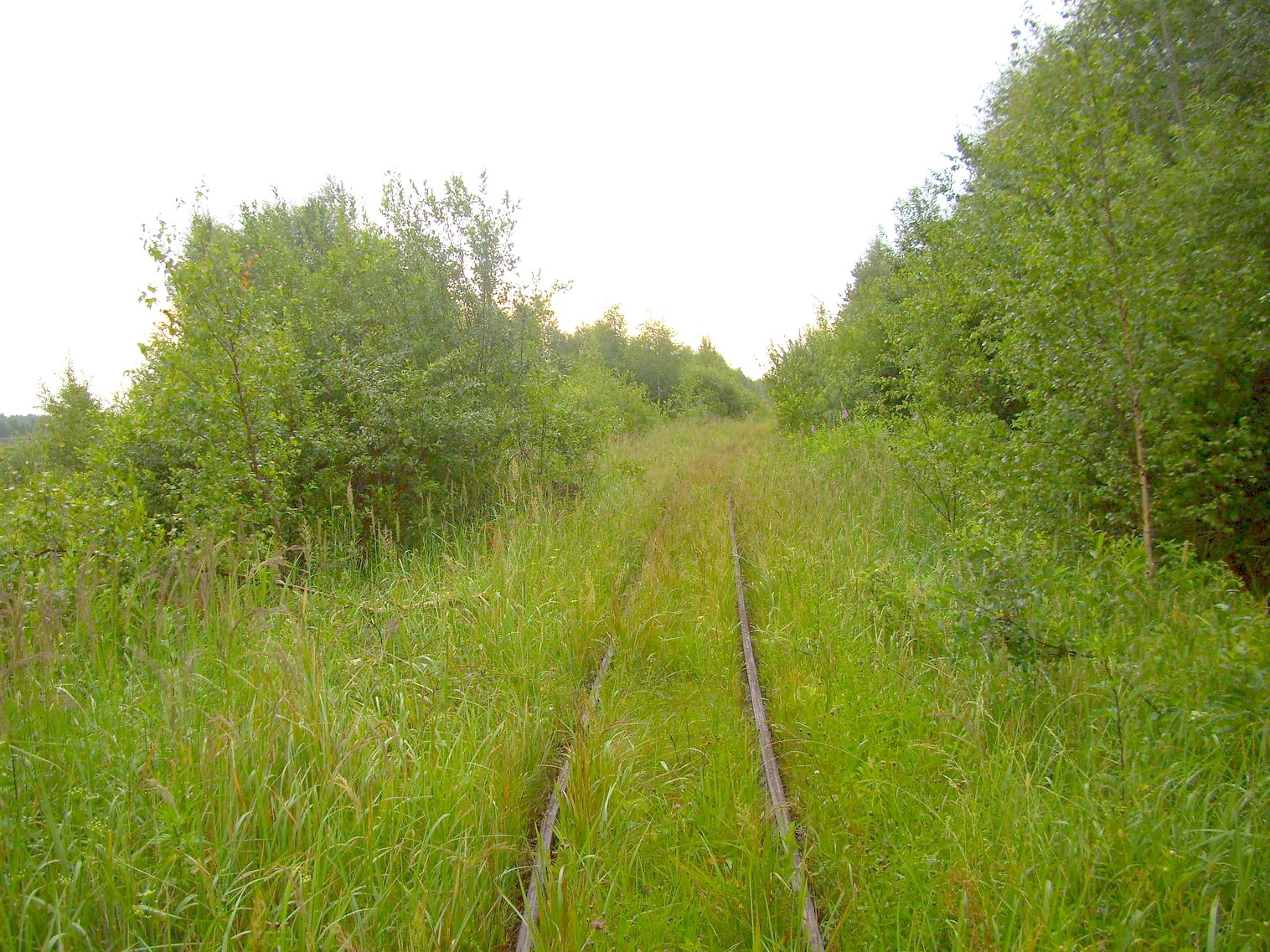 Узкоколейная железная дорога Заплюсского торфопредприятия — фотографии, сделанные в 2010 году (часть 5)