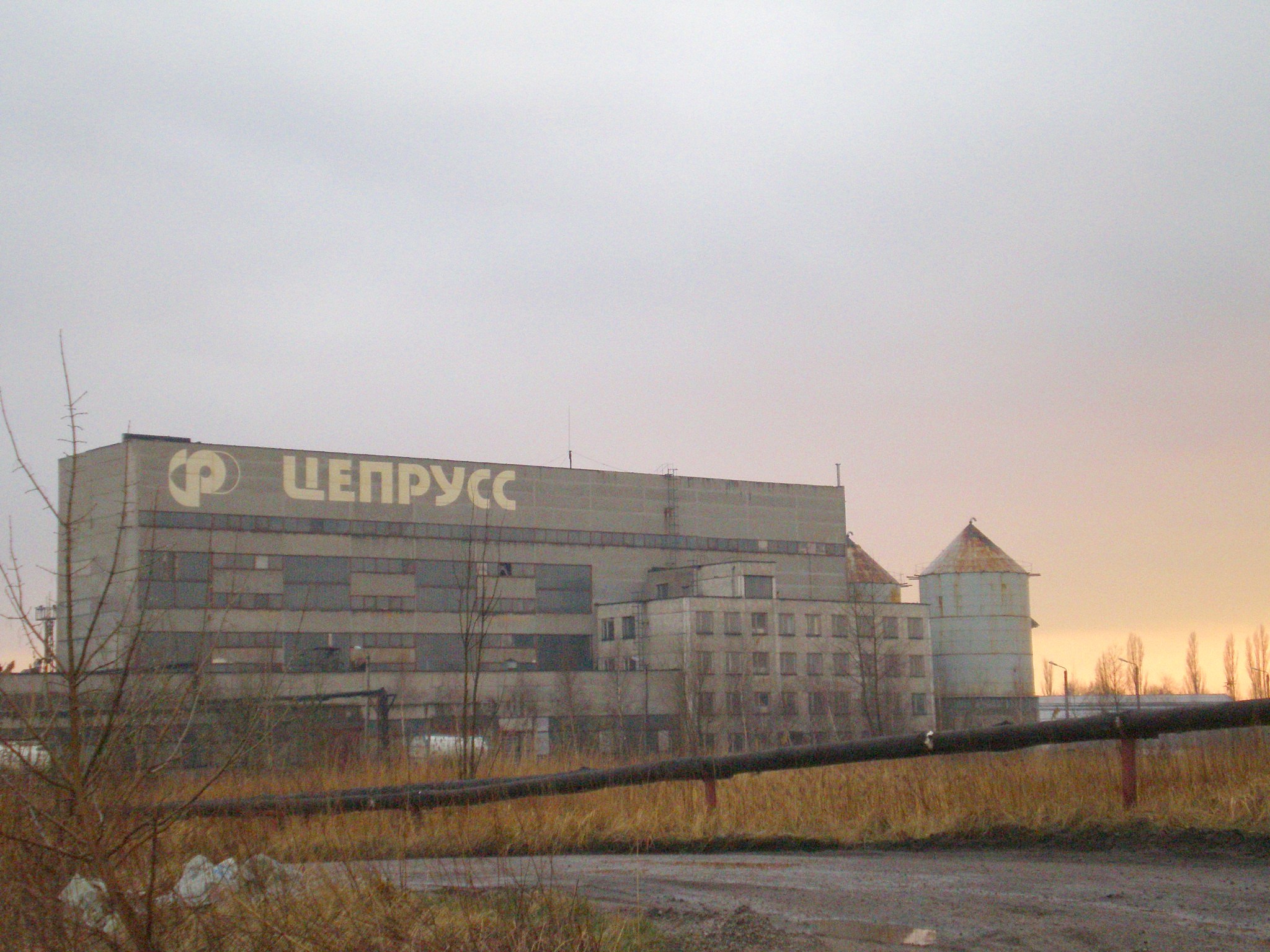 Узкоколейная железная дорога Калининградского целлюлозно-бумажного комбината  — фотографии, сделанные в 2008 году