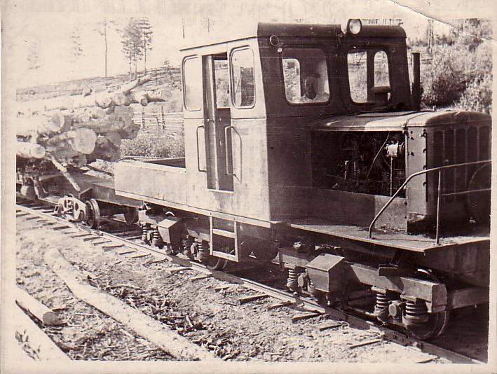 Квазеньгская узкоколейная железная дорога  —  исторические фотографии