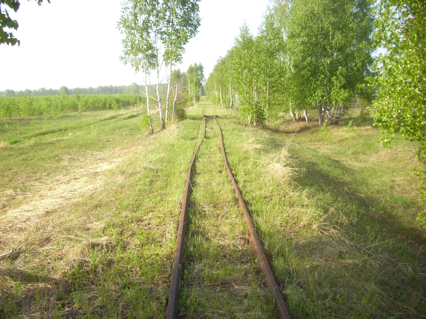 Узкоколейная железная дорога Никольского стекольного завода 
  —  фотографии, сделанные в 2010 году (часть 6)