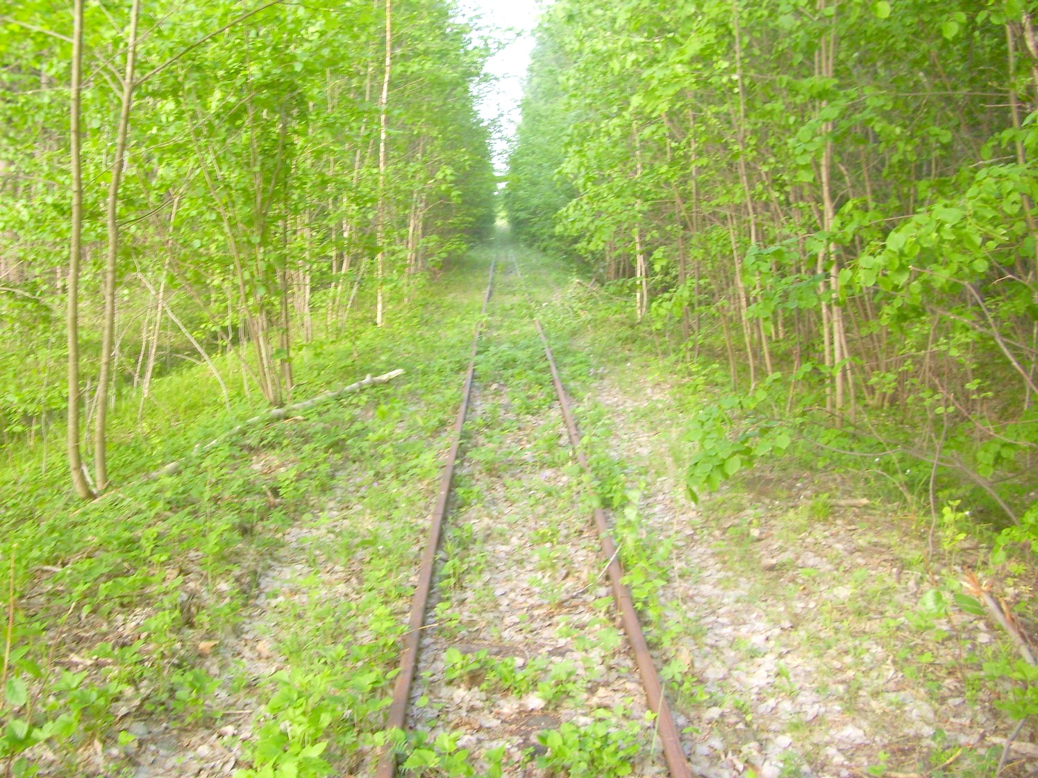 Узкоколейная железная дорога Никольского стекольного завода 
  —  фотографии, сделанные в 2010 году (часть 9)