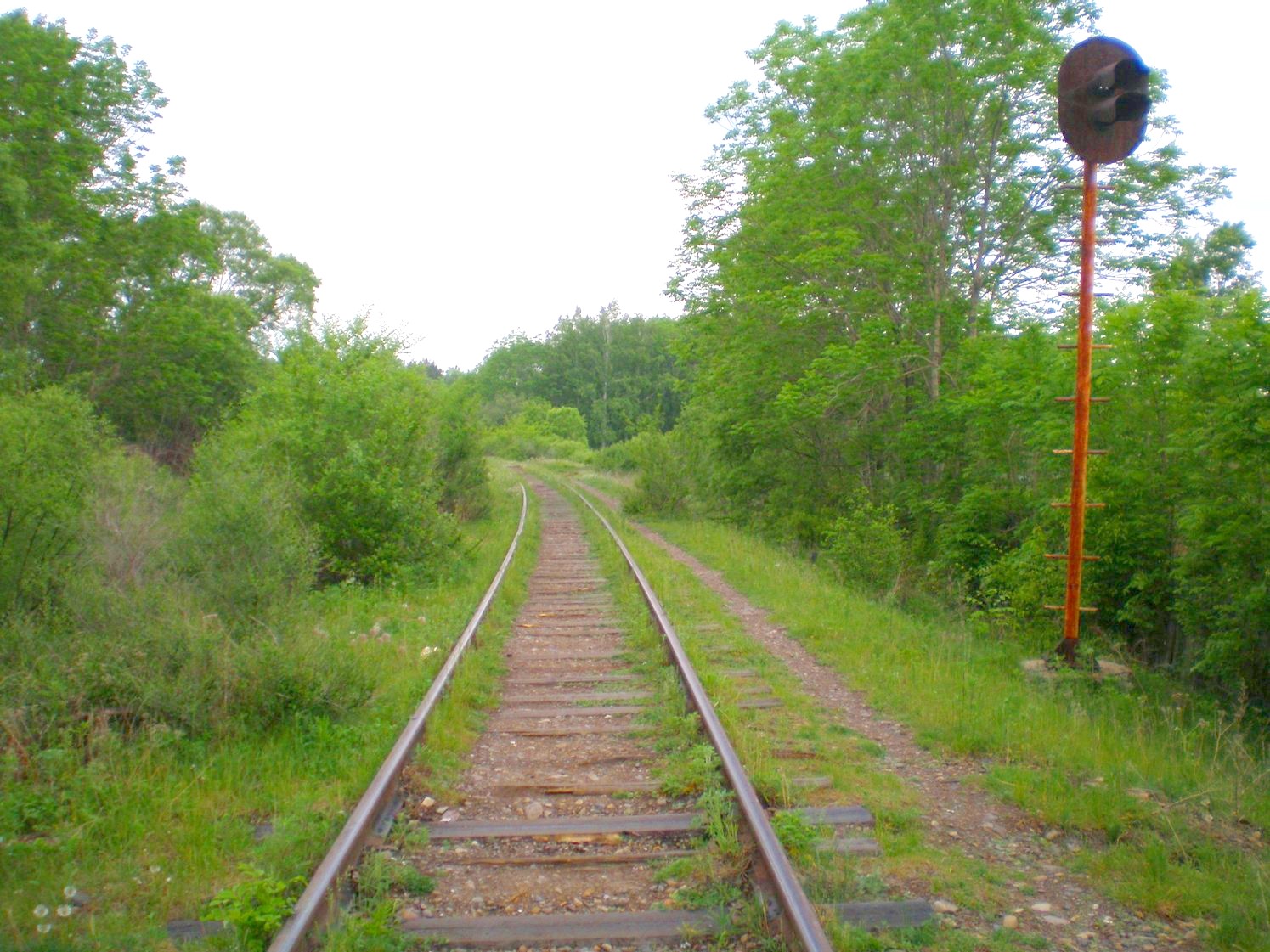 Оборская железная дорога — фотографии, сделанные в 2008 году (часть 2)