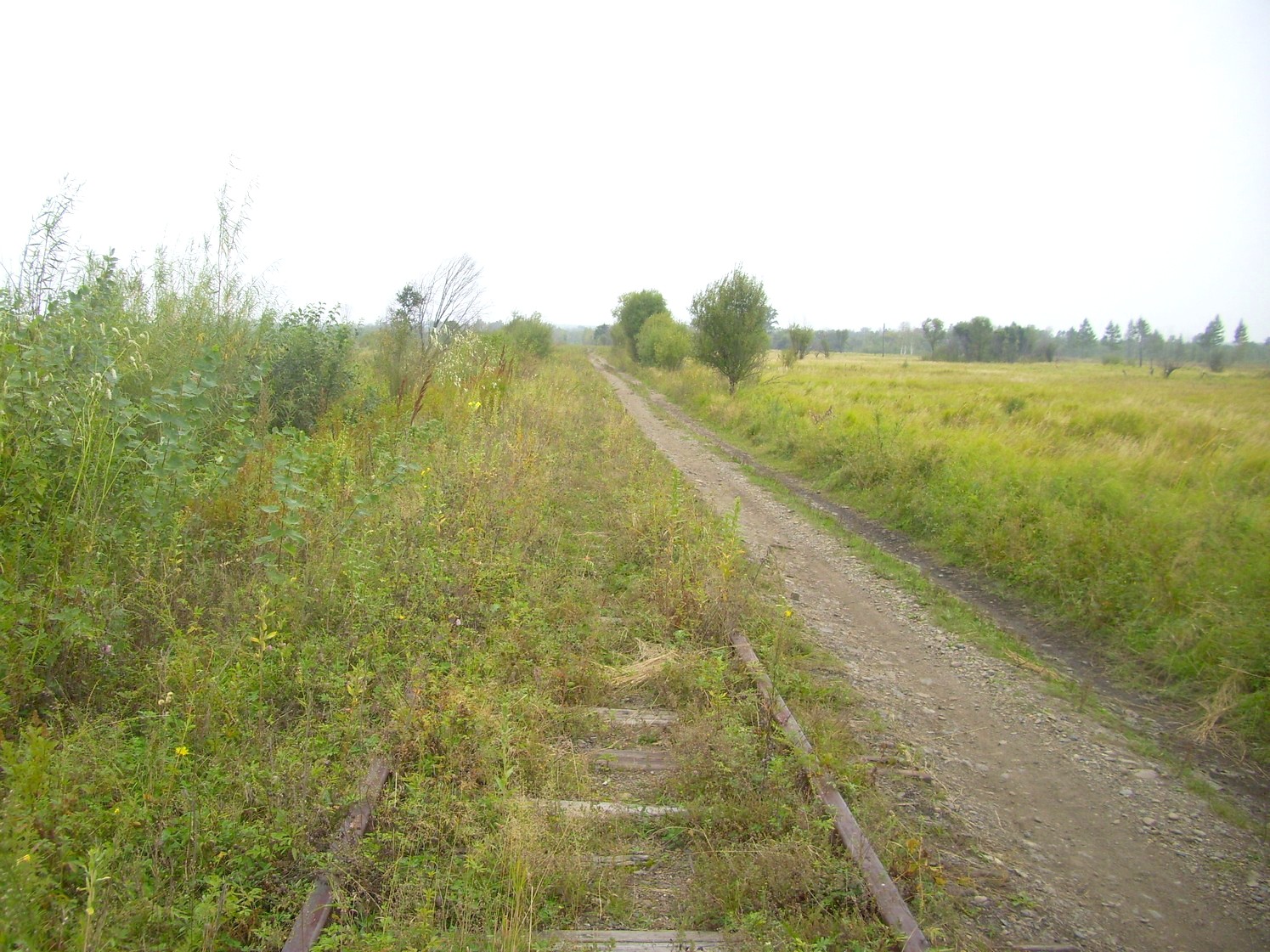 Оборская железная дорога — фотографии, сделанные в 2009 году (часть 6)